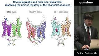 Discovery of Optogenetics and Development of Causal Systems Neuroscience  Dr Karl Deisseroth [upl. by Thornburg]