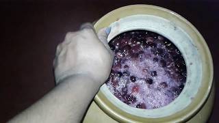 making of strong Grape wine 2017 SPL home made [upl. by Demp169]