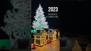 2023年函館市全域イルミネーションまとめました🎄金森〜湯の川♨️ 函館 [upl. by Hepsiba]