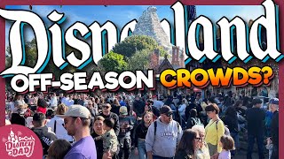 How Crowded is Disneyland in the OffSeason  January 2024 Wait Times [upl. by Sawyere]