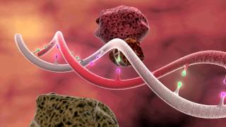 DNA Mutation 3D Animation [upl. by Ahsenev]