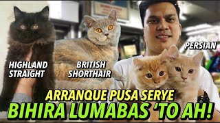 MGA BAGONG ALOK NG ARRANQUE PET MARKET BAGSAK PRESYO  PUSA SERYE  APRIL 18 2024 [upl. by Mossman435]