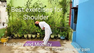 Best exercises for Shoulder Flexibility and mobility to Relief Shoulder pain [upl. by Candi676]