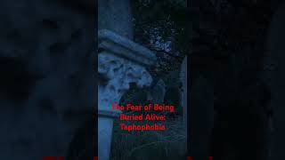 The Fear of Being Buried Alive Taphophobia [upl. by Hagep]