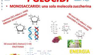 1 LE MACROMOLECOLE BIOLOGICHE [upl. by Dilaw799]