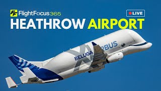 Airbus Beluga XL6 Arrival Heathrow Airport Monday 9th September 2024 [upl. by Cherilyn]