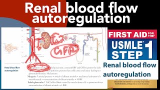 Renal blood flow autoregulation in HindiUrdu by first aid for USMLE step 1 [upl. by Ennylhsa]