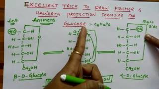 Fischer amp Haworth projection formulae for Glucose Biomolecules class 12 chemistry [upl. by Kcirdnek]