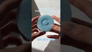 Life cycle of a konjac facial sponge [upl. by Lavena]