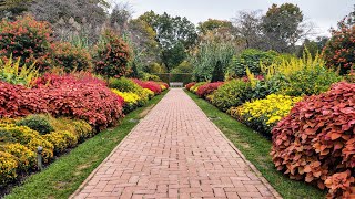 Longwood Gardens Outside Fall Season Walkthrough [upl. by Inaej]