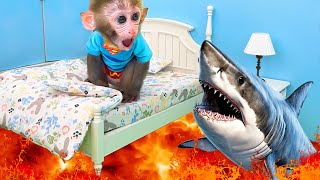 Monkey Baby Bon Bon goes shark fishing and eats watermelon and ducklings in the garden [upl. by Darcee]