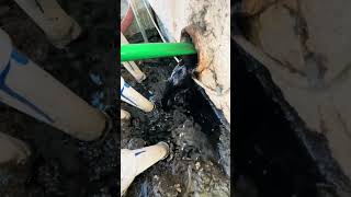 Restoring an 89 Year Old Cast Iron Pipe plumbing shorts [upl. by Bakemeier642]