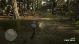 RDR2 legendary longnose gar fish location and how to catch [upl. by Ikram]