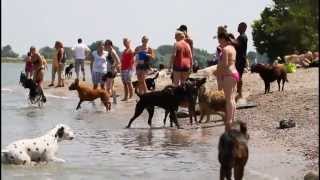 Hundestrand 07 Juli 2013 [upl. by Hnaht97]