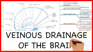 VEINOUS DRAINAGE OF THE BRAIN  ANATOMY SERIES [upl. by Paco130]