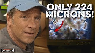 Mike Rowe Helps Breed Oysters The quotKidneysquot of the Chesapeake Bay  Somebodys Gotta Do It [upl. by Ecertak]