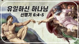 유일신 신앙신명기 645 판넨베르크3성경말씀 신학설교 메시지 [upl. by Lucina]