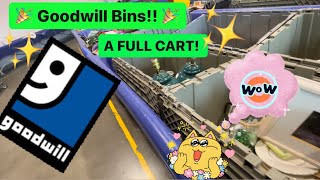 Let’s GO To Goodwill Bins Let’s Thrift For Resale More Items Worth 100 A Full Cart On Day 5 [upl. by Lebaron]