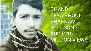 Chand Tare Phool Shabnam  Tumse Se Achcha Kaun Hai  Nakul Kapoor  90s Best Romantic Songs [upl. by Reagen]