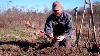 Planting a Seedling [upl. by Ettesil]