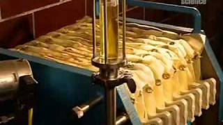 How Vegetable Oil Is Made [upl. by Thayne804]