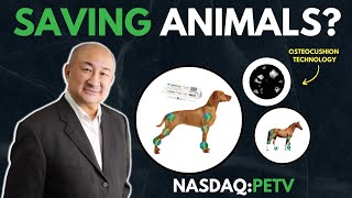 PetVivo CEO Interview with John Lai NASDAQPETV [upl. by Zenas840]