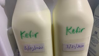 Super Easy Make Kefir from store bought Kefir [upl. by Anuahs]