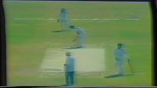 Pakistan vs Australia 1987 World Cup Semi Final Last 6 Overs Ball By Ball of Australia Innings [upl. by Shepherd]