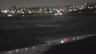 Grunion Run 2023 [upl. by Annelak]