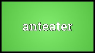 Anteater Meaning [upl. by Veradi]