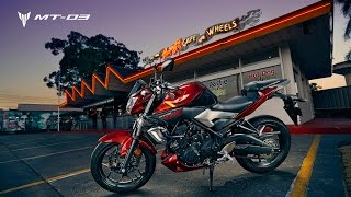 2016 Yamaha MT03  Model Highlights [upl. by Mundy]