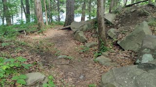 Cicadas in North Carolina Cicada Sounds and Hiking Scenery Footage NC 2024 [upl. by Bogusz]