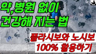 약병원 없이 건강해 지는 법말 한마디도 조심해야 하는 이유의사의 한마디가 병을 부른다마그누스 하이어 지음 [upl. by Oizirbaf45]