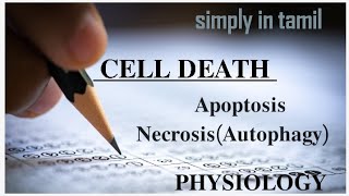 Cell death  Apoptosis and Necrosis  Explanation in Tamil  Physiology  Sukumiii [upl. by Anahpos]