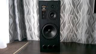 RRR SM300 speakers [upl. by Akemhs330]