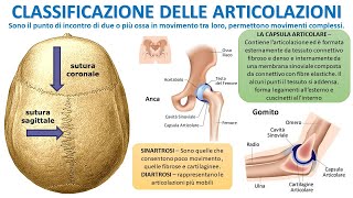 CLASSIFICAZIONE DELLE ARTICOLAZIONI [upl. by Mishaan368]