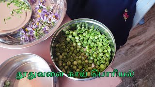 தூதுவளை காய் பொரியல்  Thoothuvalai Berries Stir fry  Solanum Trilobatum Health Brnifits [upl. by Yrrap]