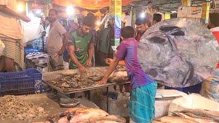 নরসিংদীতে বিক্রি হচ্ছে ৩ কোটি টাকার মাছ  Narsingdi Fish Market  Sb News BD [upl. by Ross]