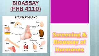 المحاضره تانيه  بيلوجيكال  الفحص والتحليل للهرمونات  lec 2  biological standraization [upl. by Namron532]