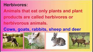 OMNIVORES CARNIVORES HERBIVORES ANIMALS FOOD HABITS [upl. by Oirasan]