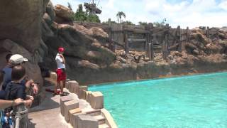 Typhoon Lagoon wave pool Disney world [upl. by Nevaj]