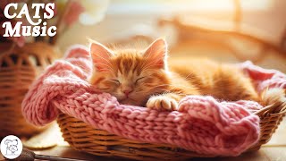 Extremely Relaxing Cat Music 😽 Relaxing Lullaby with Cat Purring Sounds [upl. by Humberto]