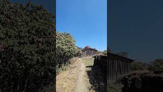 Climbing to Pikey Peak with rhododendrons lighting up the path nature view skyline explore [upl. by Flodnar]