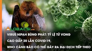 Virus Nipah bùng phát Tỷ lệ tử vong cao gấp 20 lần Covid19 [upl. by Ahsatak]