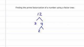 Prime Factorization of 12 [upl. by Hambley]