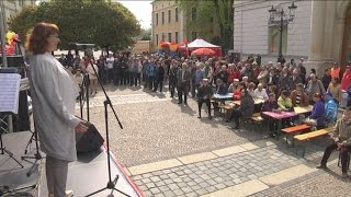 1915 125 Jahre Tag der Arbeit  Die Maikundgebung in Plauen [upl. by Calmas]