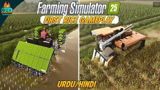 FS 25 Gameplay Planting and harvesting rice in Farming Simulator 25 [upl. by Ninetta540]