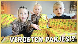 SiNTERKLAASCADEAUTJES VERGETEN OM TE TESTEN 😱  Bellinga Vlog 2281 [upl. by Yatnoj]