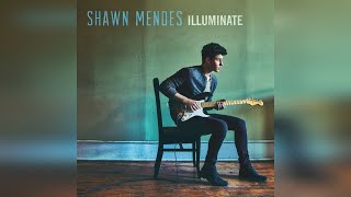 Shawn Mendes  Theres Nothing Holdin Me Back Official Audio [upl. by Bugbee]