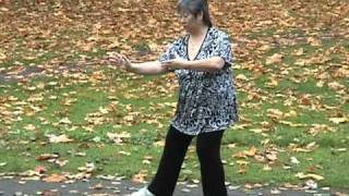 Yang Family tai chi long form third section [upl. by Rollo596]